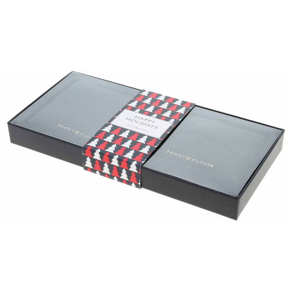 detail Tommy Hilfiger pánská peněženka + pouzdro AM0AM10433 Black