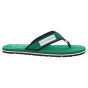 náhled Tommy Hilfiger pánské plážové FM0FM05435 L4F Nouveau Green