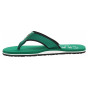 náhled Tommy Hilfiger pánské plážové FM0FM05435 L4F Nouveau Green
