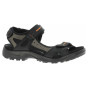 náhled Pánské sandály Ecco Offroad 06956450034 black-mole