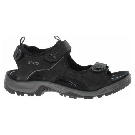 Pánské sandály Ecco Offroad 82204412001 black